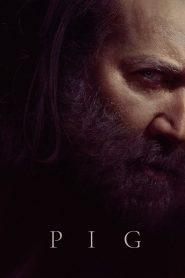 Pig (2021) หมูข้าหาย กับความหมายของชีวิต | เพราะการสูญเสียอาจพาเรากลับไปหาความเป็นตัวเอง