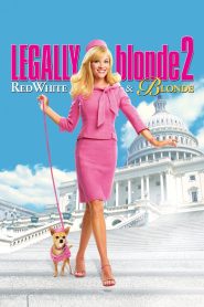 Legally Blonde 2: Bigger, Bolder, Blonder (2003) สาวบลอนด์ หัวใจดี๊ด๊า 2