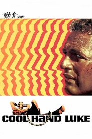 Cool Hand Luke (1967) คนสู้คน | ชายผู้ไม่เคยยอมจำนน แม้ถูกพันธนาการทั้งร่างกายและวิญญาณ