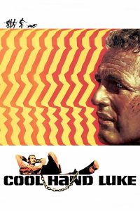 Cool Hand Luke (1967) คนสู้คน | ชายผู้ไม่เคยยอมจำนน แม้ถูกพันธนาการทั้งร่างกายและวิญญาณ