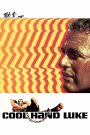 Cool Hand Luke (1967) คนสู้คน | ชายผู้ไม่เคยยอมจำนน แม้ถูกพันธนาการทั้งร่างกายและวิญญาณ