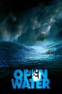 Open Water (2003) – ระทึกคลั่ง ทะเลเลือด กลางท้องทะเลเปิด ไม่มีฝั่ง ไม่มีคนช่วย…แค่ต้องอยู่ให้รอดจนถึงพรุ่งนี้ก็เหมือนฝัน