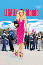 Legally Blonde (2001) สาวบลอนด์หัวใจดี๊ด๊า
