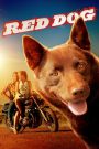Red Dog (2011) เพื่อนซี้หัวใจหยุดโลก