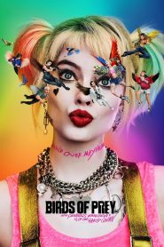 Birds of Prey: And the Fantabulous Emancipation of One Harley Quinn (2020) ทีมนกผู้ล่า กับฮาร์ลีย์ ควินน์ ผู้เริดเชิด เมื่อโลกไม่ต้องการเจ้าชายสายโหด เธอเลยกลายเป็นราชินีสายป่วน