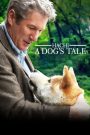 Hachiko: A Dog’s Tale (2009) ฮาชิ..หัวใจพูดได้