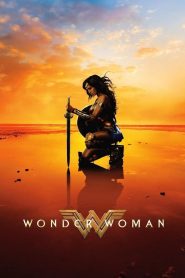 Wonder Woman (2017) วันเดอร์ วูแมน: เมื่อเจ้าหญิงนักรบแห่งอเมซอนออกจากเกาะสวรรค์เพื่อหยุดสงครามมนุษย์