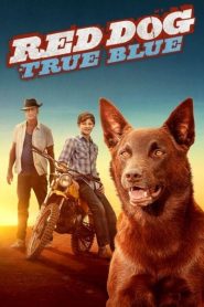 Red Dog: True Blue (2016) เพื่อนซี้หัวใจหยุดโลก 2