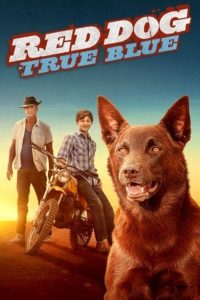 Red Dog: True Blue (2016) เพื่อนซี้หัวใจหยุดโลก 2