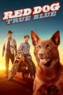 Red Dog: True Blue (2016) เพื่อนซี้หัวใจหยุดโลก 2