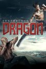 The Invincible Dragon (2019) หมัดเหล็กล่าฆาตกร | เมื่อศิลปะการต่อสู้ไม่ใช่แค่เพื่อป้องกันตัว แต่คืออาวุธล้างแค้นในโลกที่ไร้ความยุติธรรม