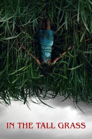 In the Tall Grass (2019) พงหลอนมรณะ | ทางออกไม่มี มีแต่เสียงเรียกให้หลงลึกเข้าไป
