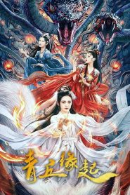 Lost Destiny (2024) พรหมลิขิตรักชิงชิว | เมื่อหัวใจต้องเลือกทางท่ามกลางเส้นด้ายแห่งโชคชะตา