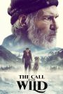 The Call of the Wild (2020) เสียงเพรียกจากพงไพร | เมื่อจิตวิญญาณแห่งอิสรภาพคือเสียงเรียกที่ไม่อาจต้านทาน