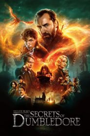 Fantastic Beasts: The Secrets of Dumbledore (2022) สัตว์มหัศจรรย์: ความลับของดัมเบิลดอร์ | ศึกแห่งเวทมนตร์ เมื่อความลับเปลี่ยนชะตาโลก