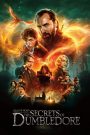 Fantastic Beasts: The Secrets of Dumbledore (2022) สัตว์มหัศจรรย์: ความลับของดัมเบิลดอร์ | ศึกแห่งเวทมนตร์ เมื่อความลับเปลี่ยนชะตาโลก
