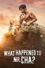What Happened to Mr. Cha? (2021) ชาอินพโย สุภาพบุรุษสุดขั้ว | เมื่ออดีตซูเปอร์สตาร์ต้องเจอกับบทเรียนสุดฮาในชีวิตจริง
