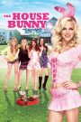 The House Bunny (2008) บันนี่สาว หัวใจซี้ด | จากสาวเพลย์บอยสุดแซ่บ สู่คุณแม่บ้านคลับเด็กเนิร์ด ที่โลกไม่เคยคาดคิด