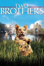 Two Brothers (2004) พี่น้องสองเสือ | เมื่อสายเลือดเดียวกันถูกพรากด้วยน้ำมือมนุษย์ เสือสองตัวจึงต้องต่อสู้เพื่อกลับมาพบกันอีกครั้ง