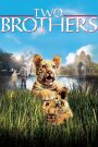 Two Brothers (2004) พี่น้องสองเสือ | เมื่อสายเลือดเดียวกันถูกพรากด้วยน้ำมือมนุษย์ เสือสองตัวจึงต้องต่อสู้เพื่อกลับมาพบกันอีกครั้ง