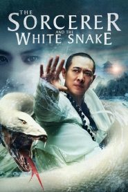 The Sorcerer and the White Snake (2011) ตำนานเดชนางพญางูขาว | เมื่อรักแท้ท้าทายโชคชะตา…แม้สวรรค์ก็ขวางไม่อยู่