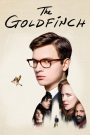 The Goldfinch (2019) เดอะ โกล์ดฟินช์ | บางครั้งสิ่งเล็กที่สุด…คือสิ่งที่พาเราผ่านวันที่มืดมนที่สุด