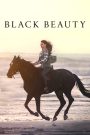 Black Beauty (2020) แบล็คบิวตี้ | เมื่อหัวใจอิสระของม้าดำ เชื่อมถึงจิตวิญญาณของเด็กหญิงผู้แตกสลาย