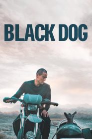 Black Dog (2024) สี่ขาหัวใจไม่ดำ | เพื่อนแท้ผู้ไร้เสียง แต่เข้าใจหัวใจยิ่งกว่าใคร