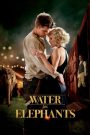 Water for Elephants (2011) มายารัก ละครสัตว์ | ในม่านแสงสีของละครสัตว์ ความรักต้องเดินบนเส้นบางระหว่างความจริงกับมายา