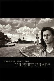 What’s Eating Gilbert Grape (1993) รักแท้เลือกไม่ได้ | เมื่อภาระในครอบครัวไม่อาจละทิ้ง… แต่หัวใจก็ยังโหยหาความรักอิสระ