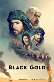 Black Gold (2011) ล่าขุมทองดับตะวัน | น้ำมันเปลี่ยนแผ่นดิน เลือดเปลี่ยนอนาคต