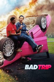 Bad Trip (2021) ทริปป่วนคู่อำ | เมื่อมิตรภาพคือระเบิดขำ…และการแกล้งคือภารกิจหลัก