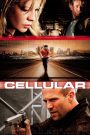 Cellular (2004) สัญญาณเป็น สัญญาณตาย | เมื่อเสียงจากสายปลายทาง คือความหวังเดียวในการเอาชีวิตรอด