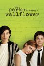 The Perks of Being a Wallflower (2012) วัยป่วนหัวใจปึ้ก | ในความเงียบคือเสียงของหัวใจ และในความเจ็บปวดคือบทเรียนของการเติบโต