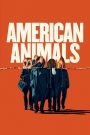 American Animals (2018) รวมกันปล้น อย่าให้ใครจับได้ | เมื่ออาชญากรรมไม่ใช่แค่ในหนัง แต่คือบททดสอบของชีวิตจริง