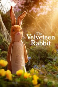 The Velveteen Rabbit (2023) กระต่ายกำมะหยี่ | เมื่อของเล่นธรรมดา กลายเป็นเพื่อนแท้ตลอดชีวิต