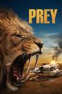 Prey (2024) ขย้ำ | เมื่อล่าไม่ใช่เพื่อล่าหนึ่งเดียวอีกต่อไป