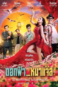 ดอกฟ้า_หมาแจ๊ส Lady & The Jazz (2017) ความรักมันไม่ผิด แค่คนมันต่างชั้น
