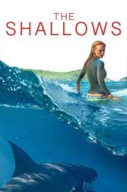 The Shallows (2016) นรกน้ำตื้น เมื่อทะเลสวย…กลายเป็นกับดักแห่งความตาย