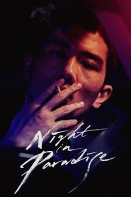 Night in Paradise (2020) คืนดับแดนสวรรค์ | เมื่อฆาตกรหนีตาย…กลับพบรักในแดนสุดท้ายของชีวิต