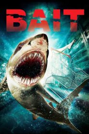 Bait (2012) โคตรฉลามคลั่ง | คลื่นซัดสู่หายนะ…เมื่อศัตรูไม่ได้มาแค่จากทะเล
