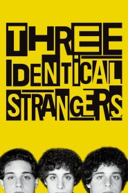 Three Identical Strangers (2018) แฝดสามแปลกหน้า โชคชะตา ความบังเอิญ และความลับที่โลกไม่ควรรู้