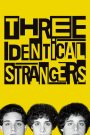 Three Identical Strangers (2018) แฝดสามแปลกหน้า โชคชะตา ความบังเอิญ และความลับที่โลกไม่ควรรู้