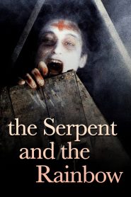 The Serpent and the Rainbow (1988) อาถรรพ์ ผงกระตุกวิญญาณ | เส้นบาง ๆ ระหว่างความตายกับการถูกฝังทั้งเป็น