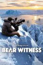 Bear Witness (2022) หมีกลางน้ำแข็ง | สารคดีแห่งการรอคอย ความอดทน และชีวิตที่แขวนอยู่บนอุณหภูมิ