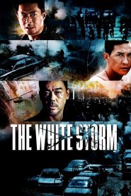 The White Storm (2013) โคตรคนโค่นคนอันตราย | เมื่อมิตรภาพสามนายตำรวจต้องเดิมพันด้วยชีวิต… ท่ามกลางวงจรอันตรายที่ไม่รู้ว่าใครจะหักหลังใครก่อน