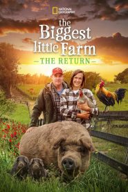 The Biggest Little Farm: The Return (2022) ฟาร์มเล็ก หัวใจยิ่งใหญ่ ตอนกลับมาอีกครั้ง | เมื่อธรรมชาติได้รับโอกาส… ชีวิตก็เบ่งบานได้เสมอ