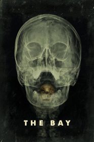 The Bay (2012) 24 ชม. แพร่พันธุ์สยอง | ฝันร้ายที่แพร่ระบาด สู่เมืองเล็กที่ไร้ทางหนี