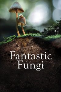 Fantastic Fungi (2019) เห็ดมหัศจรรย์ | เมื่อโลกใบเล็กใต้ดิน อาจคือคำตอบของการเยียวยาทั้งจักรวาล