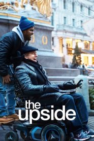 The Upside (2019) ดิ อัพไซด์ | มิตรภาพต่างขั้ว พลิกชีวิตให้มีความหมาย